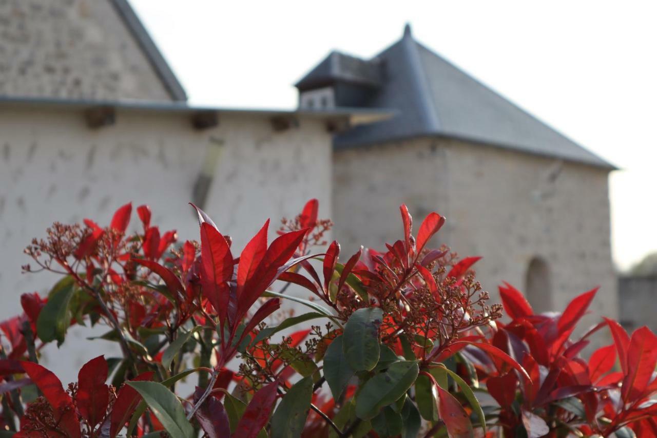 Gîtes De Saint Rémy Villers-Cotterêts Exterior foto
